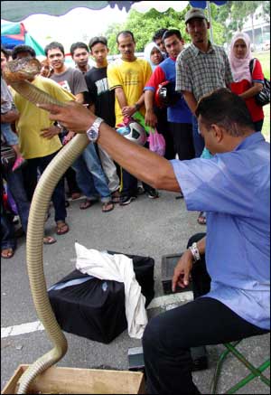 Man at Shah Alam market