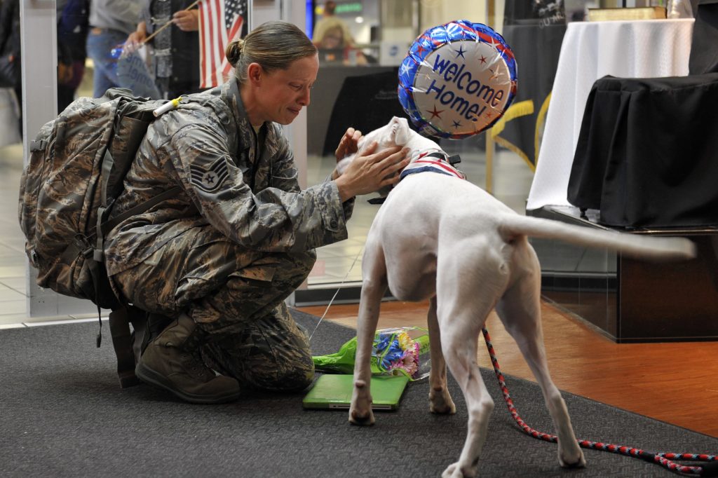 Public domain photo of a soldier and a dog indoors, probably in an airport, with a "Welcome Home" balloon. U.S. Department of Defense photo.